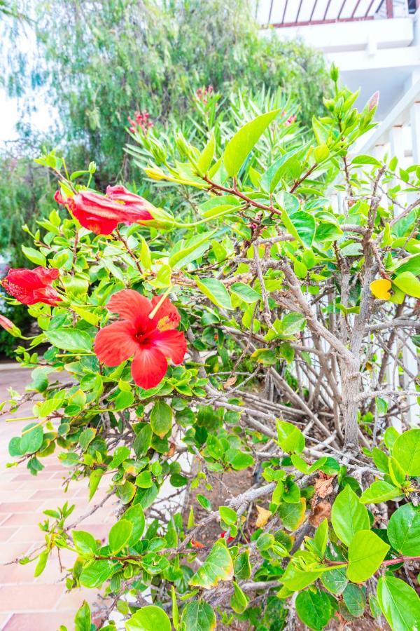 Vivienda Vacacional Sunny - Duplex Apartment 2Beds 2 Baths Costa Teguise Dış mekan fotoğraf
